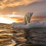 Sunday Talk – “Polar Bear Plunge”