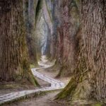 Sunday Talk – “F.E.A.R. – TAKE 2”