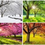 Sunday Talk – “The Seasons, They Go Round and Round”