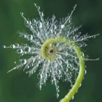 Sunday Talk – “Unfolding”