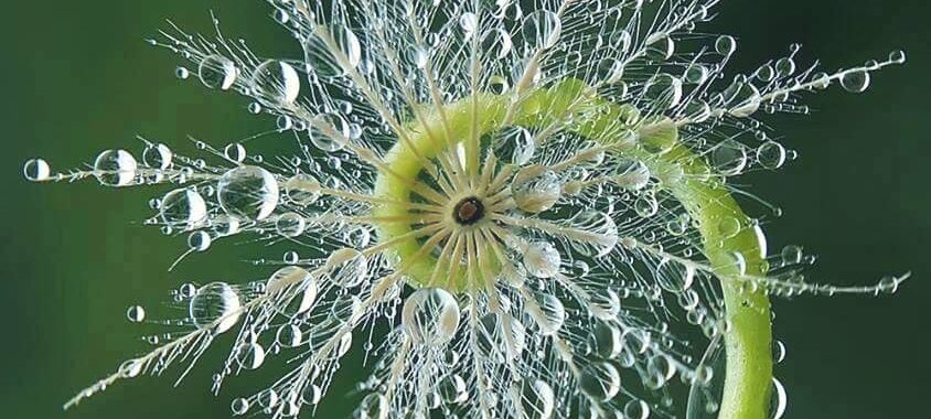 Sunday Talk – “Unfolding”